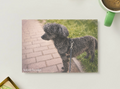 Little Shadow — Cozy Printable Postcard