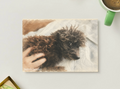 Soft Eyes — Cozy Printable Postcard