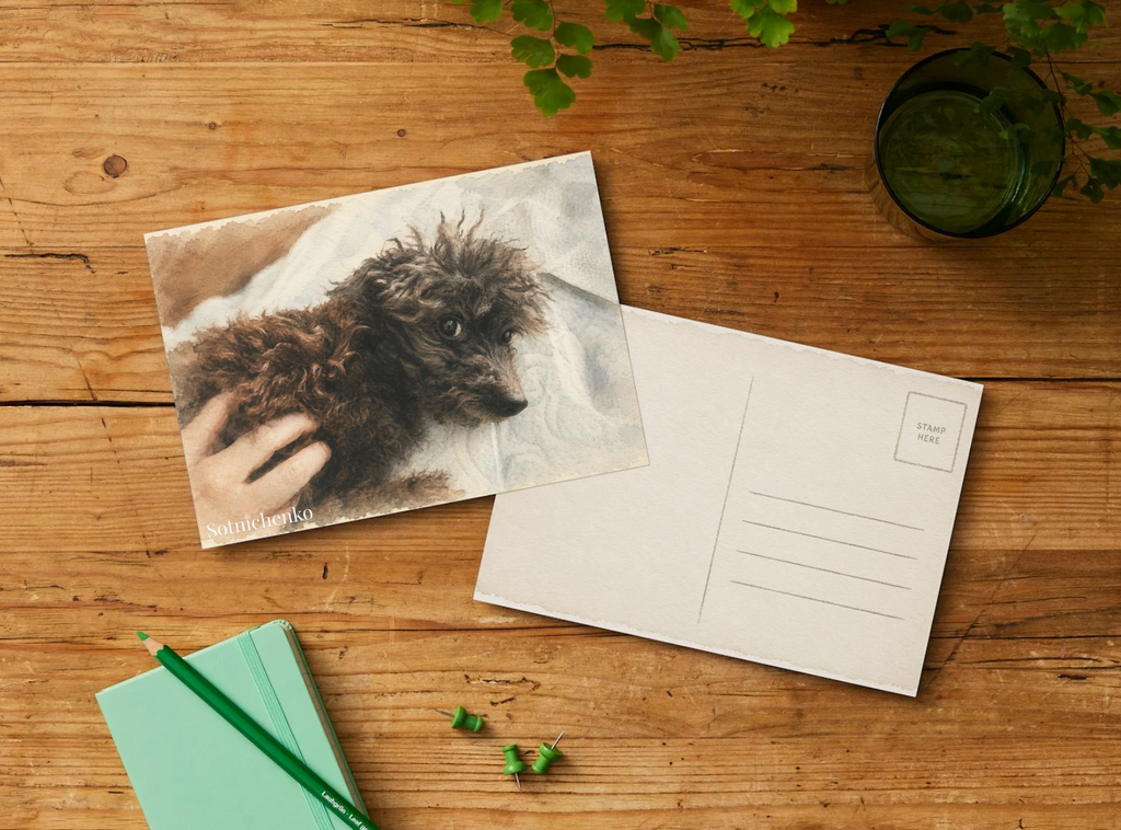 Soft Eyes — Cozy Printable Postcard