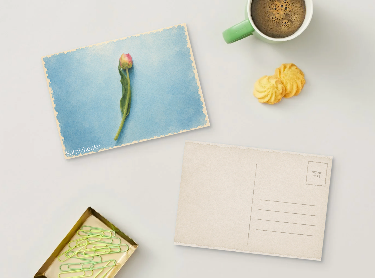 Single Tulip — Minimal Printable Postcard