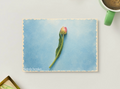 Single Tulip — Minimal Printable Postcard