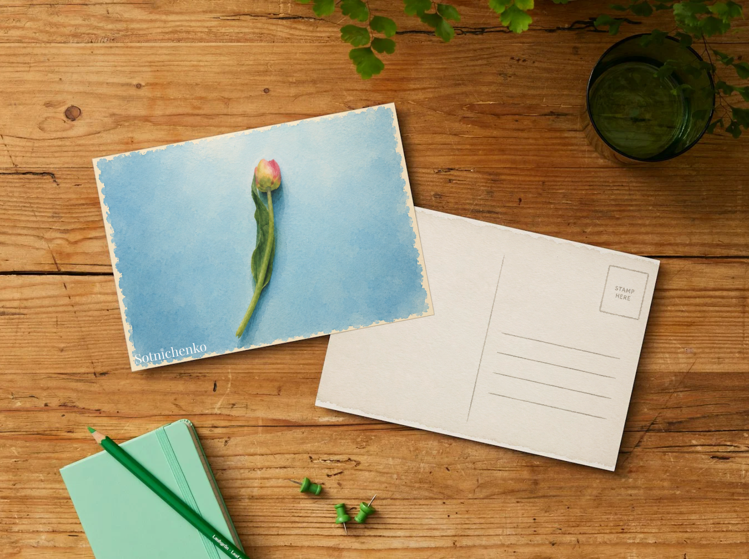 Single Tulip — Minimal Printable Postcard