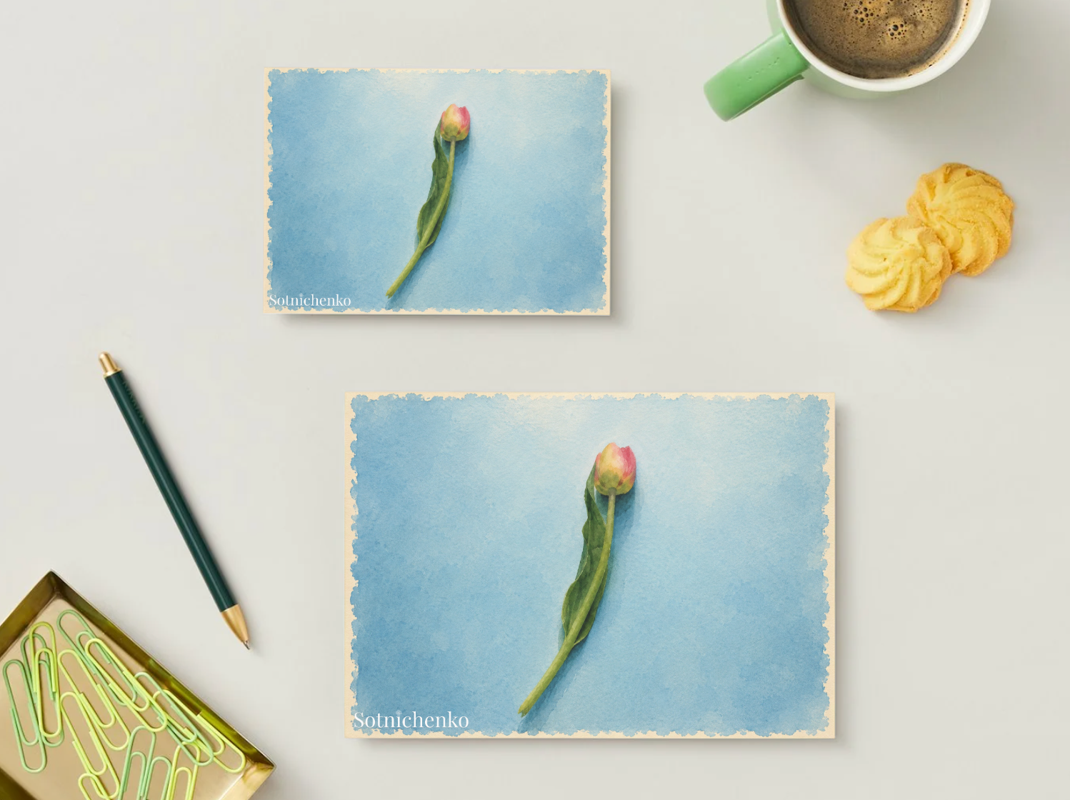 Single Tulip — Minimal Printable Postcard
