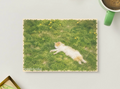 Grass Nap — Cozy Printable Postcard