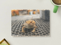 Tiny Dragon Stare — Reptile Printable Postcard