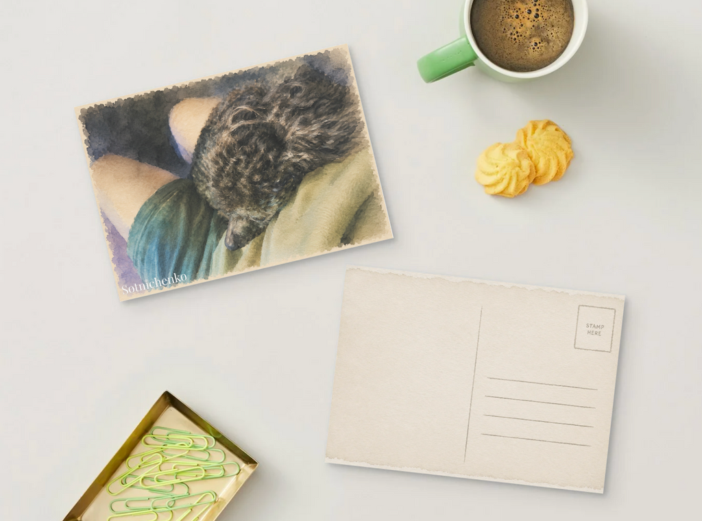 Black Poodle Nap — Cozy Printable Postcard