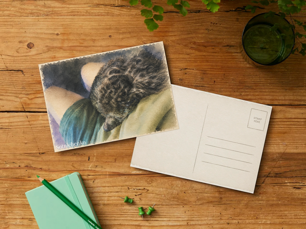 Black Poodle Nap — Cozy Printable Postcard