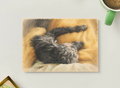 Sleepy Poodle Stretch — Cozy Pet Printable Postcard
