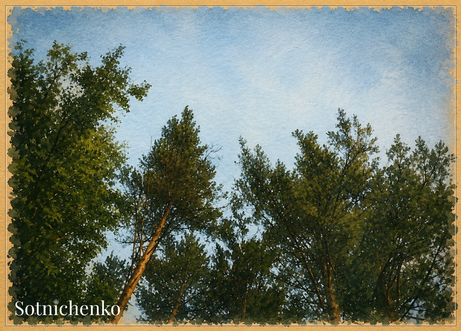 Looking Up Through Trees — Vintage Nature Printable Postcard
