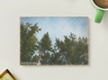 Looking Up Through Trees — Vintage Nature Printable Postcard