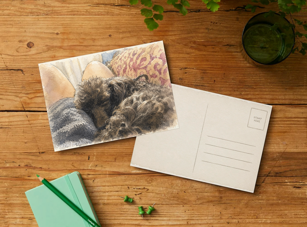 Sleeping Poodle on Cozy Blanket — Printable Postcard