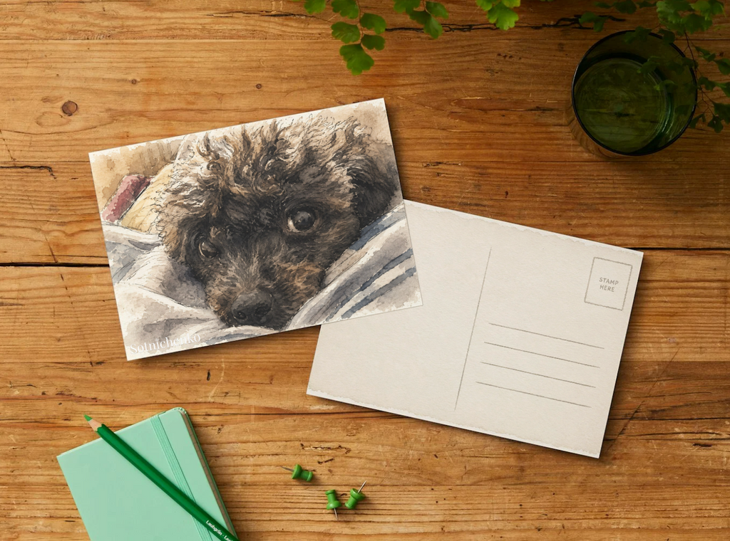 Poodle Eyes Under Blanket — Cozy Pet Printable Postcard